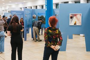 Menschen schauen sich Bilder in einer Ausstellung an.