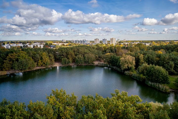 Blick auf einen See umrahmt von Bäumen