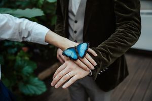 Eine Frau legt ihre Hand auf der eines Mannes, ein Schmetterling hat sich darauf niedergelassen.