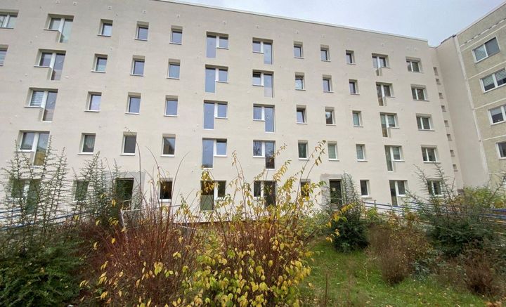 Grüne Rassenfläche mit Sträuchern und einer Hausfassade im Hintergrund. 