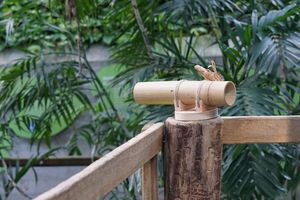 Ein Fernrohr aus Holz liegt auf einem Holzpfeiler. Im Hintergrund sind Palmen zu sehen.