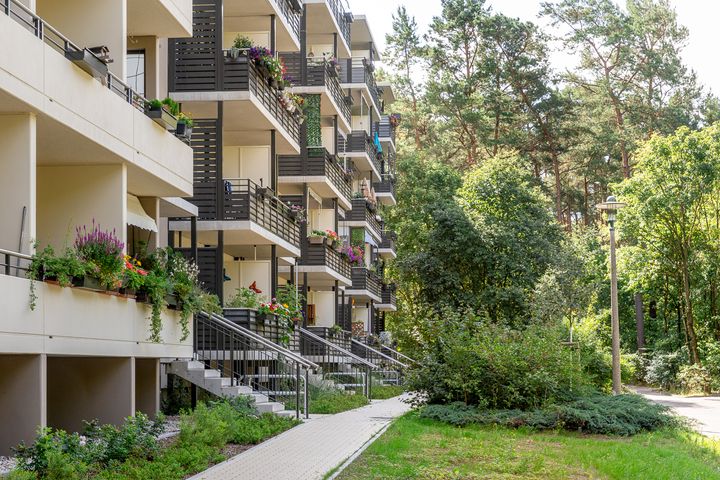 Begrünte Balkone eines Plattenbaus mit Blick ins dicht bewachsene anschließende Grün